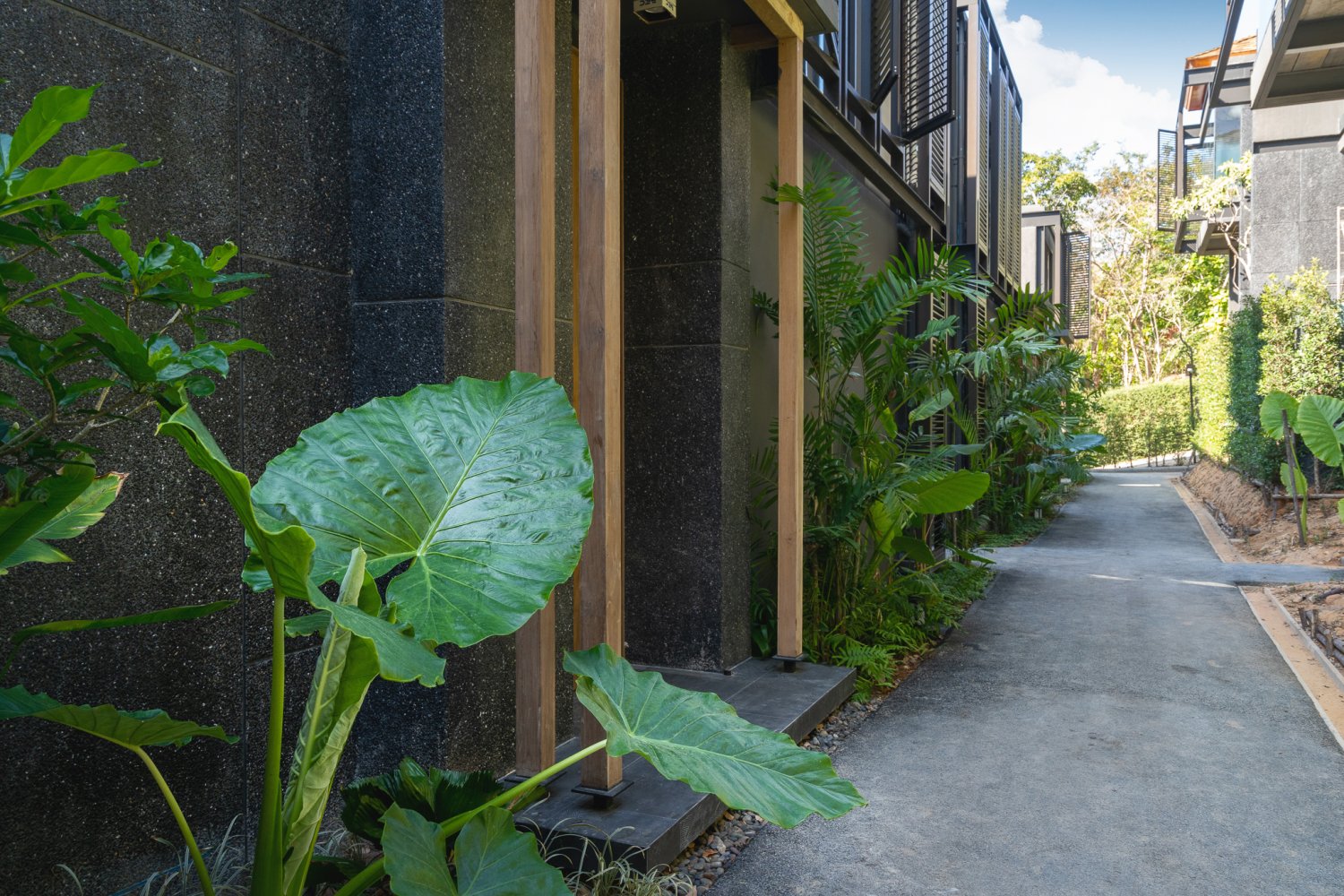 Property image - gallery 42