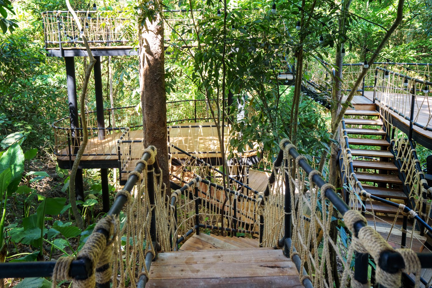 Property image - gallery 51