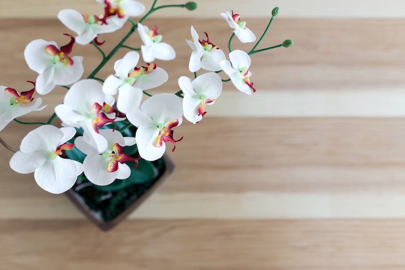 Property image - gallery 29