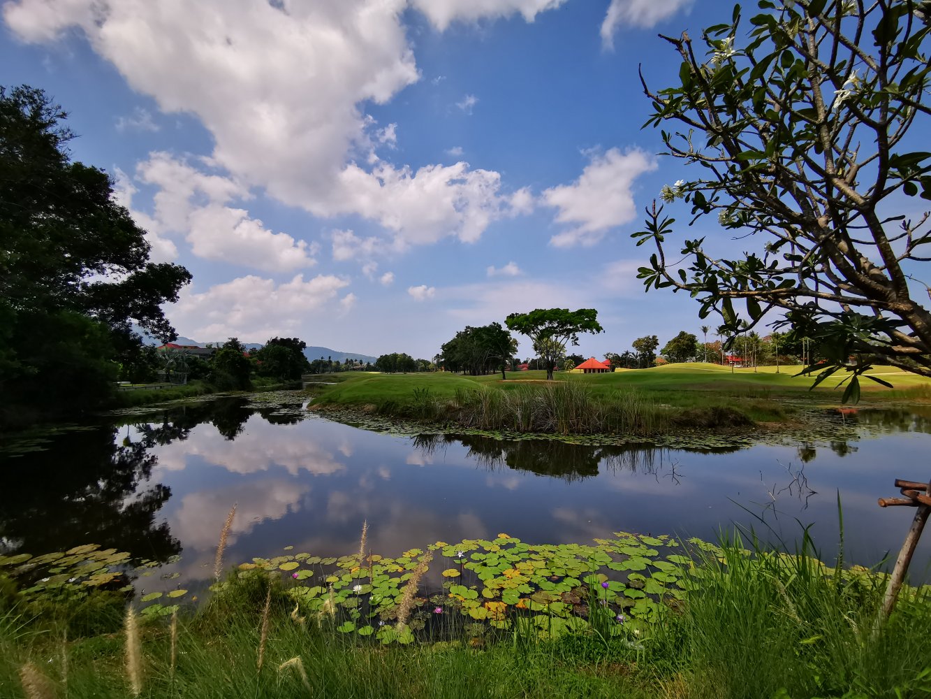 Property image - gallery 19