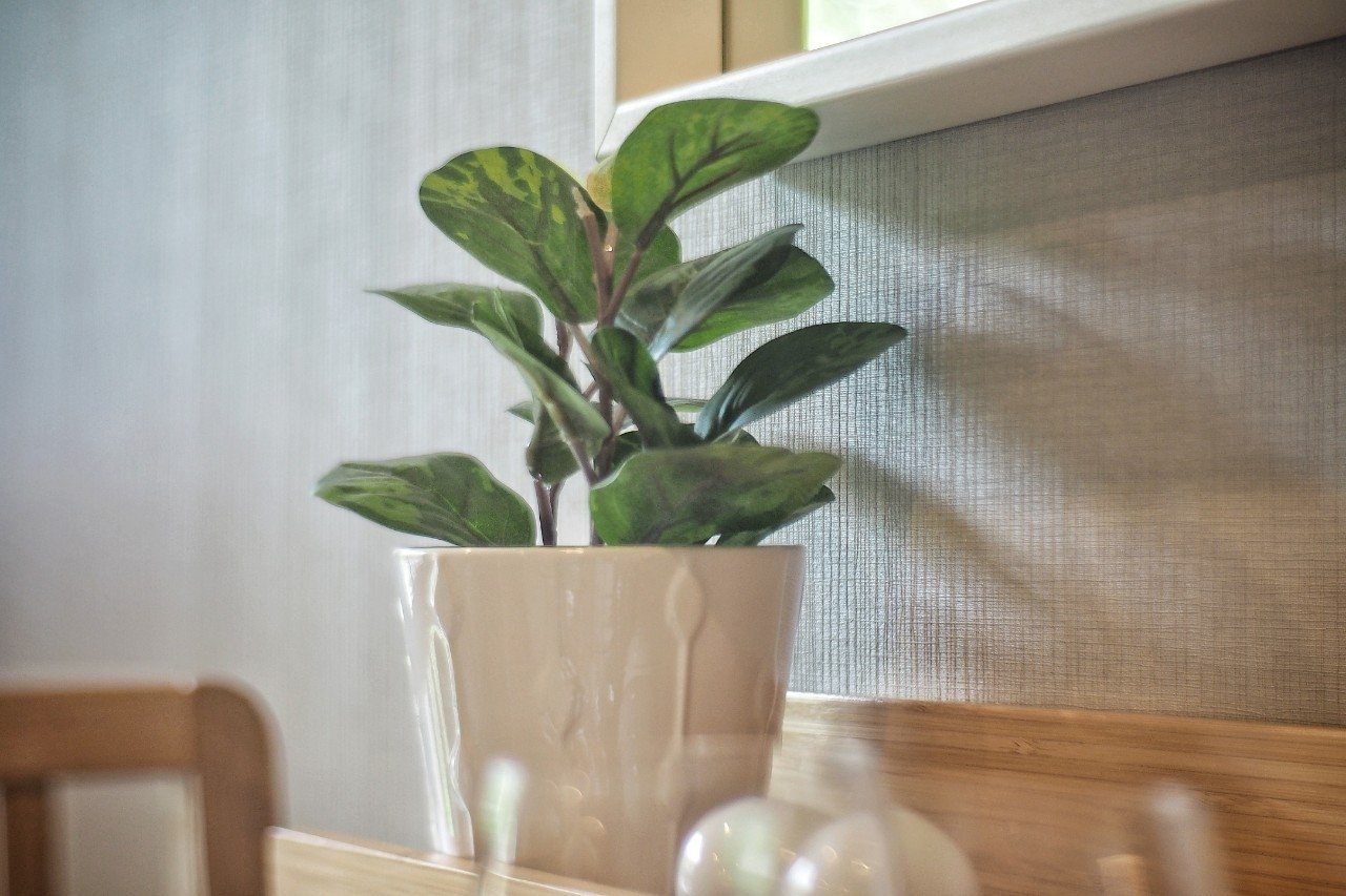 Property image - gallery 10