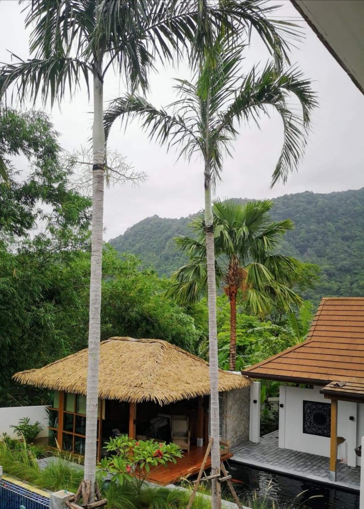 Property image - gallery 6