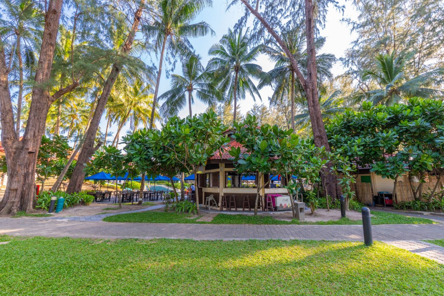 Property image - gallery 18