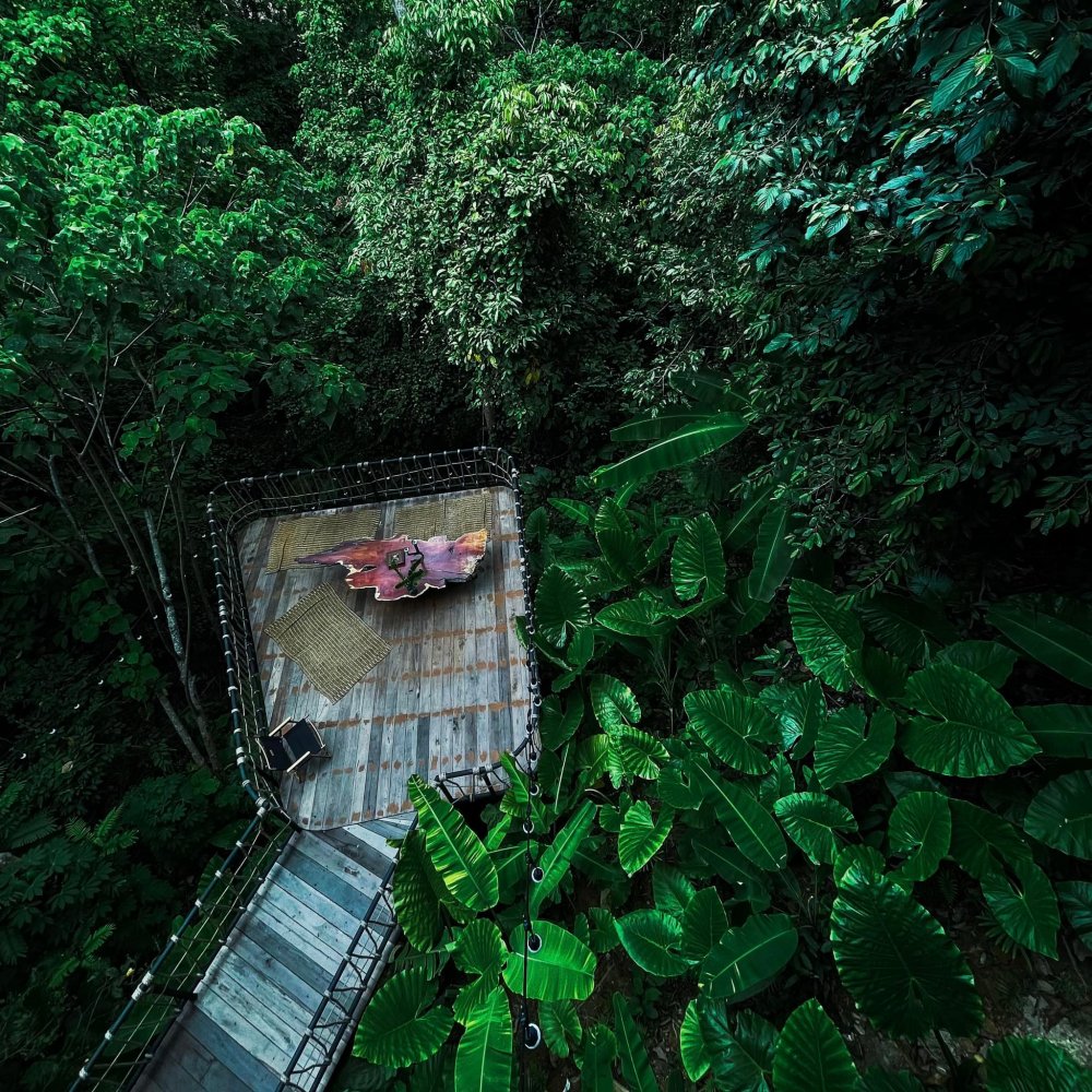 Property image - gallery 44