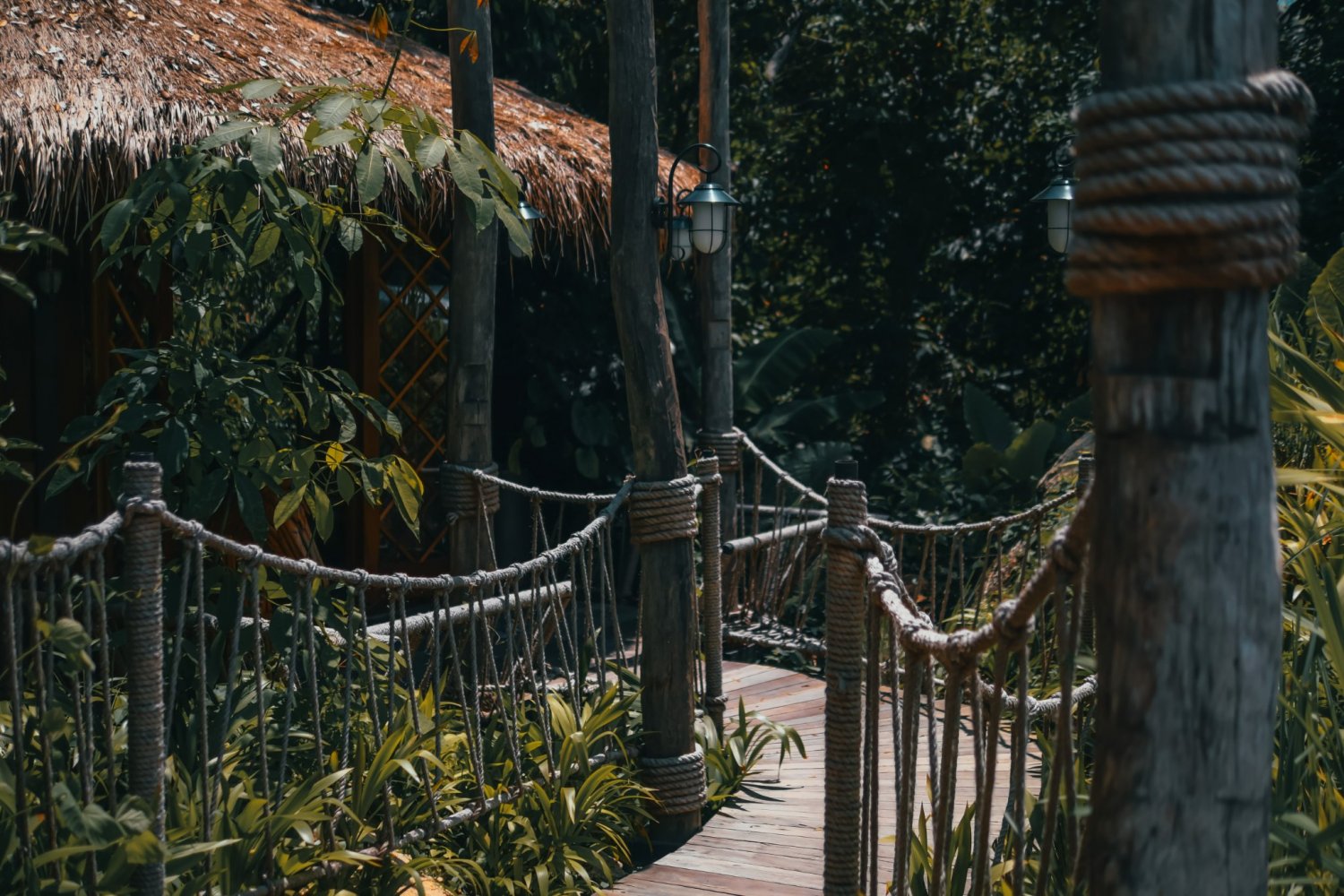 Property image - gallery 39