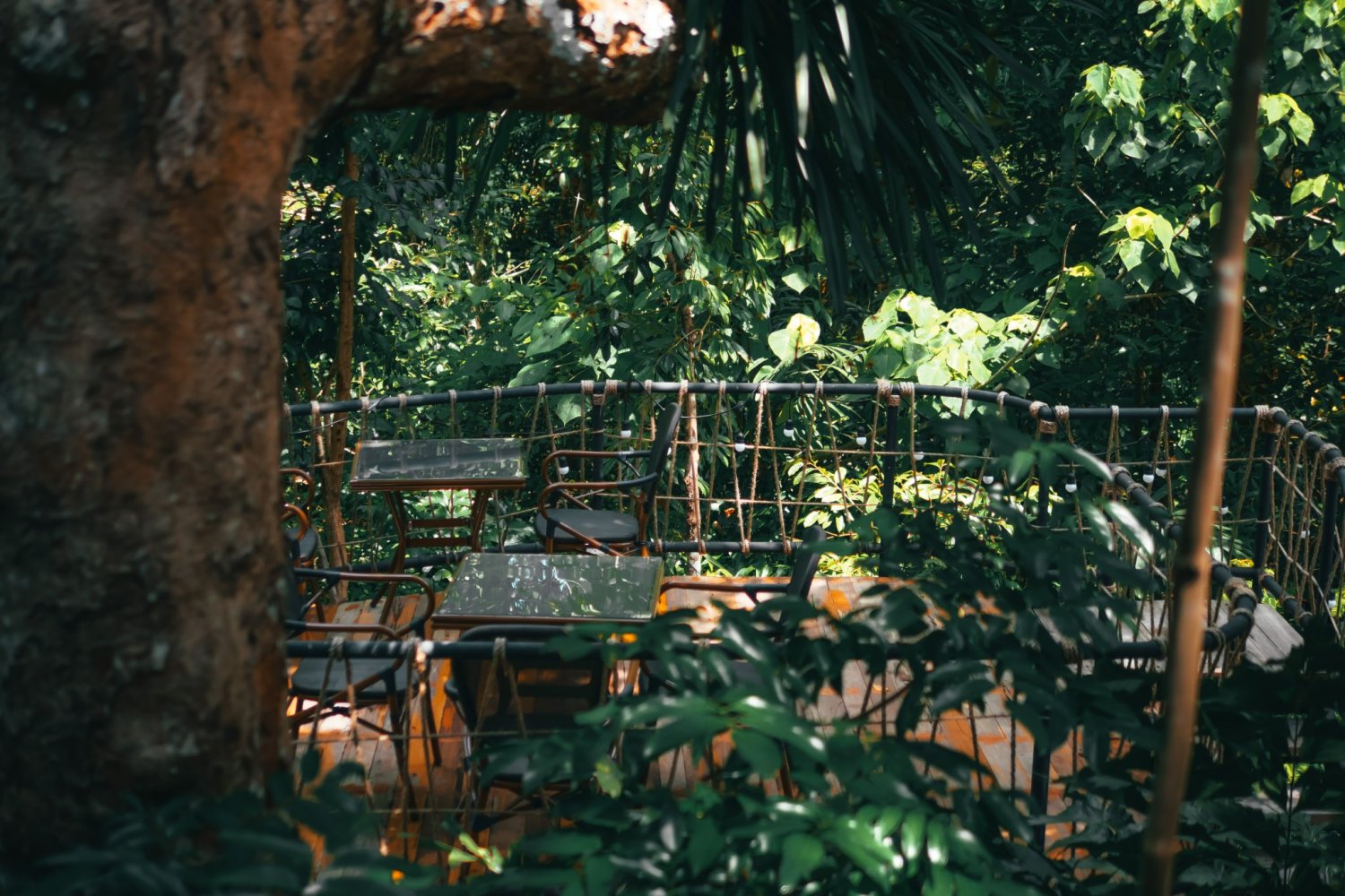 Property image - gallery 46