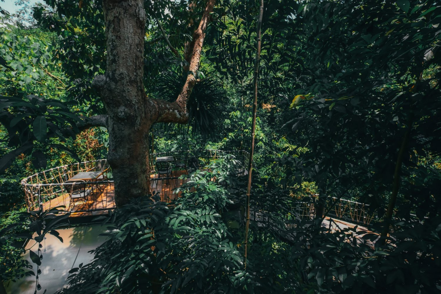 Property image - gallery 32