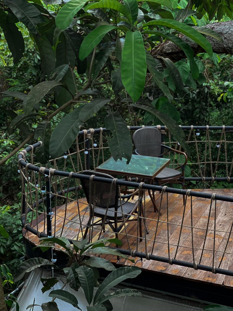 Property image - gallery 25