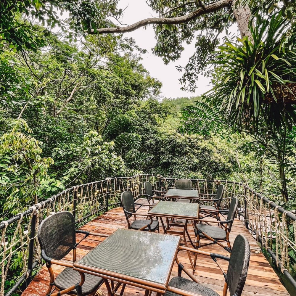 Property image - gallery 62