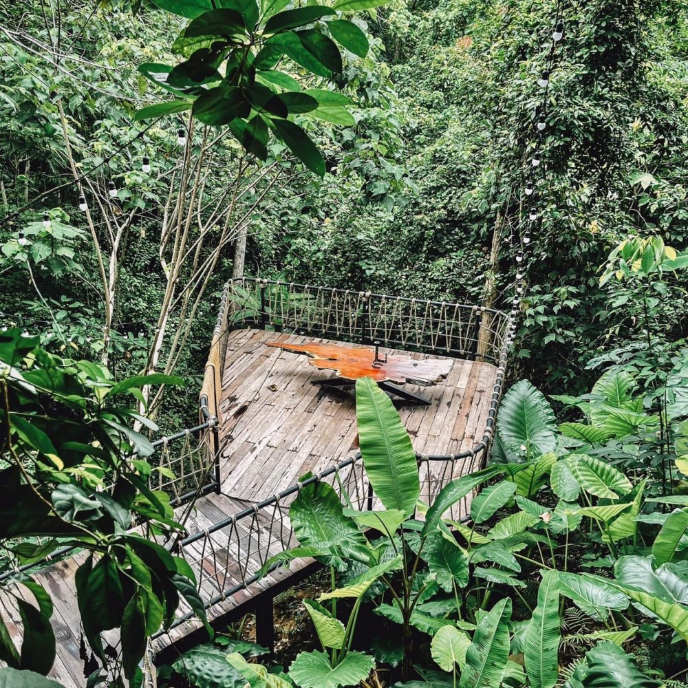 Property image - gallery 63