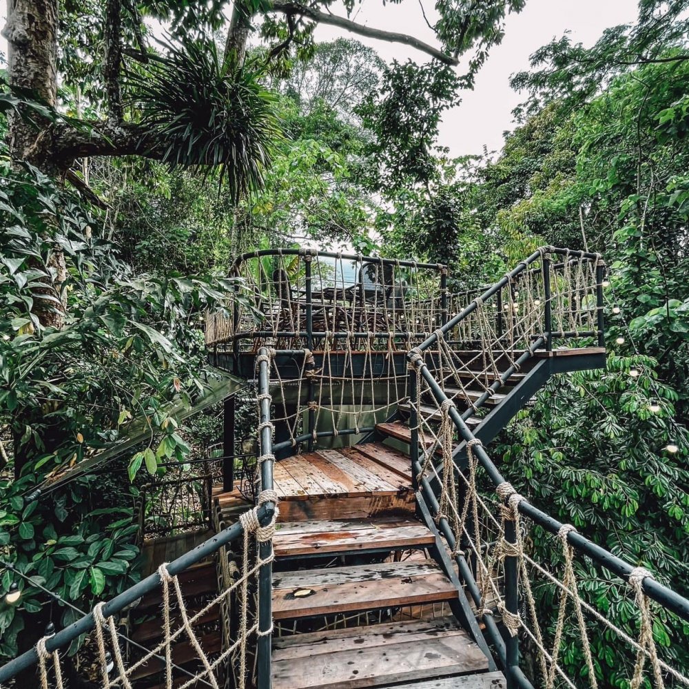 Property image - gallery 58