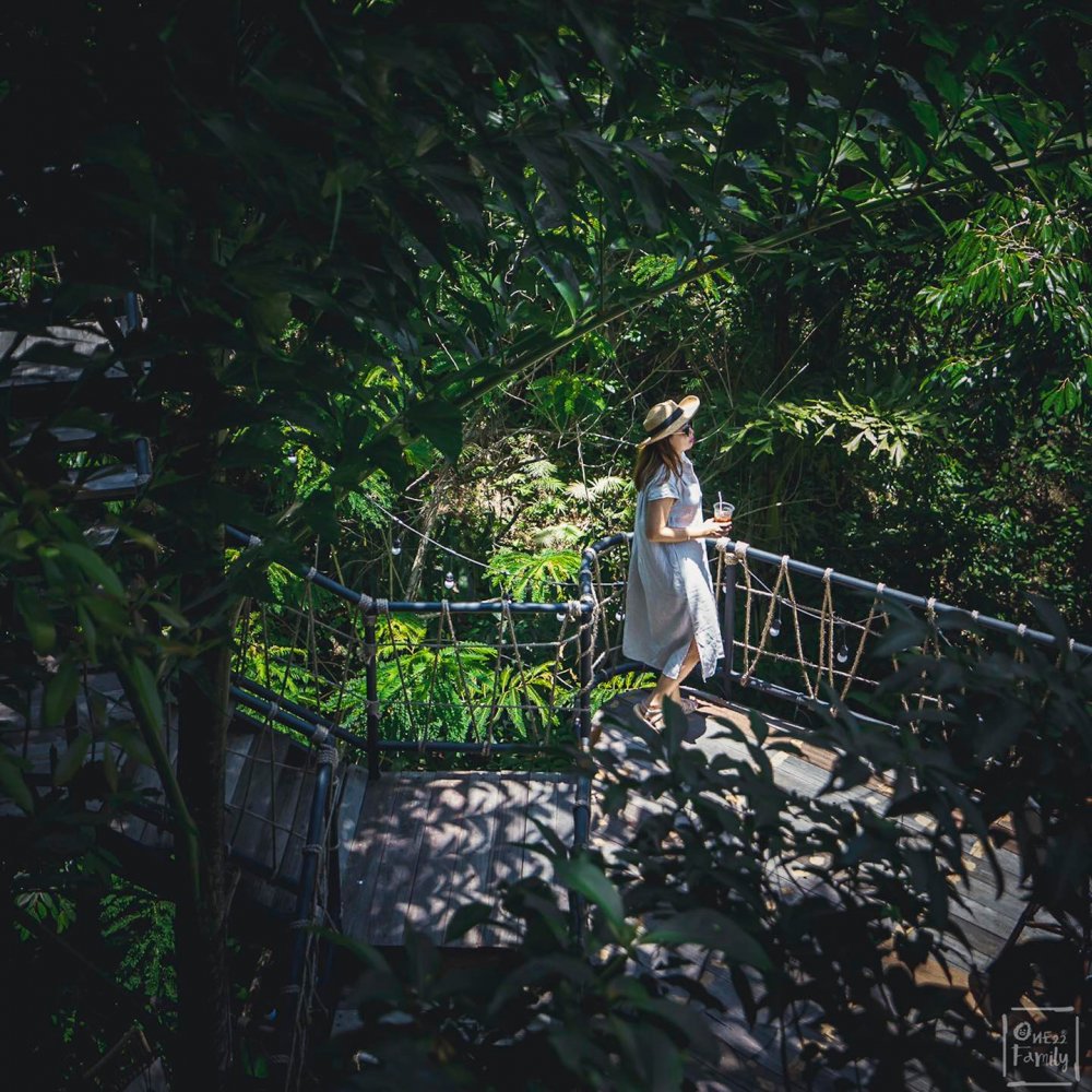 Property image - gallery 49