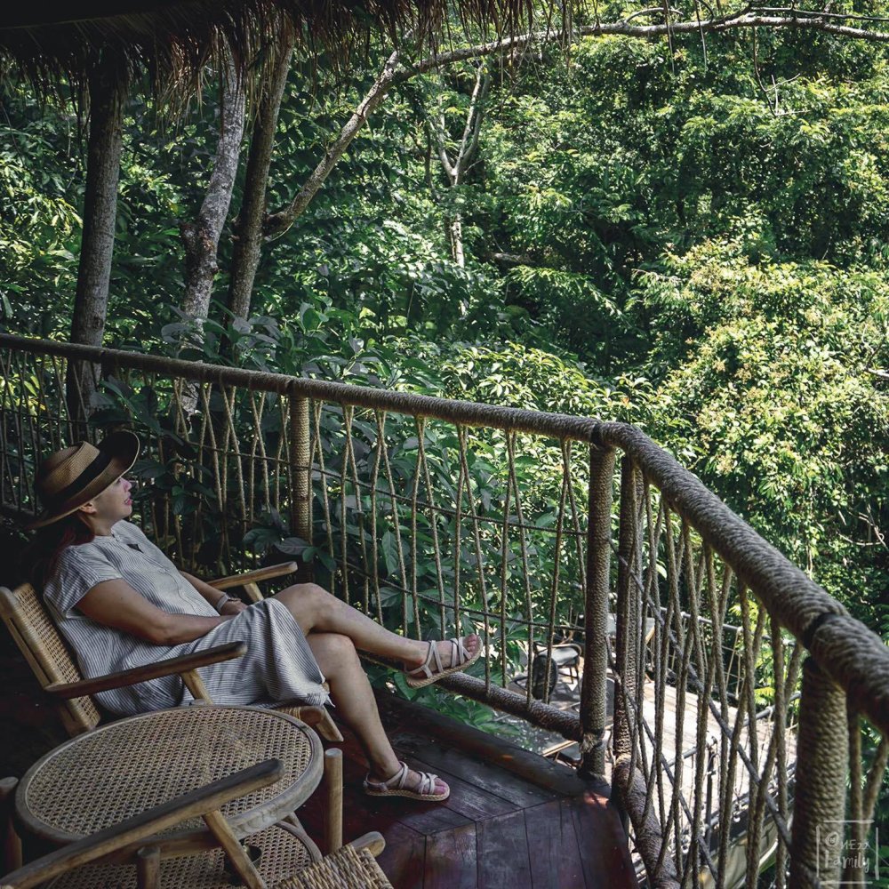 Property image - gallery 56