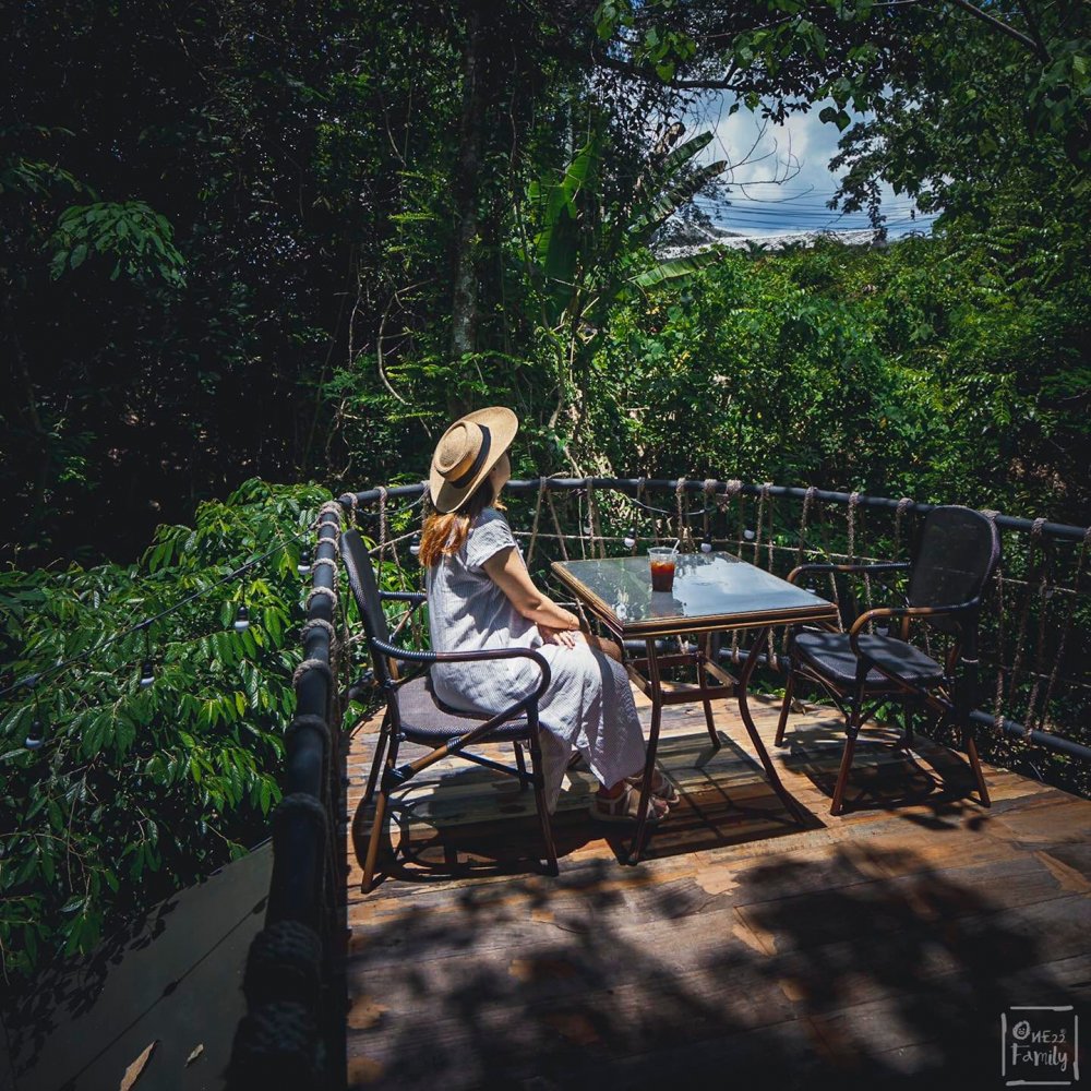 Property image - gallery 54