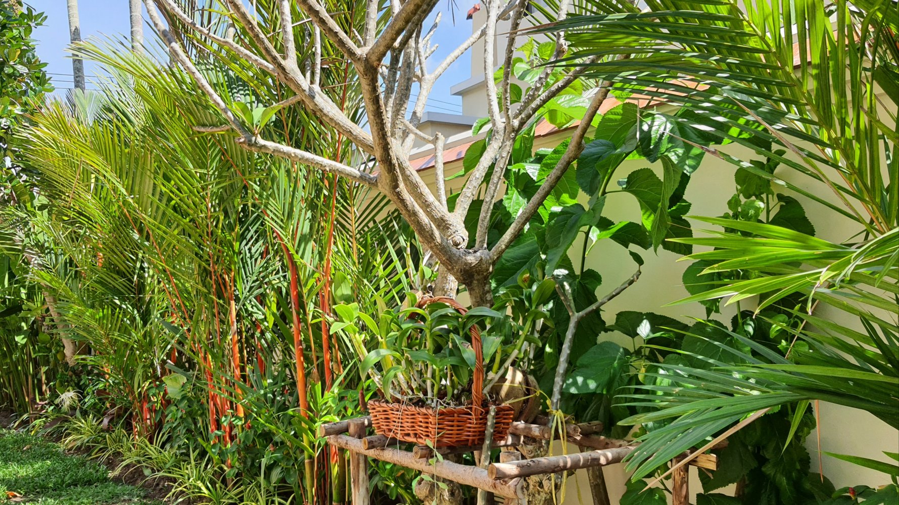 Property image - gallery 14