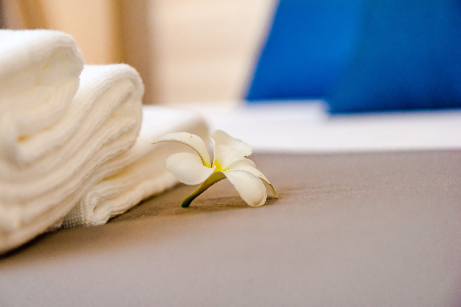 Property image - gallery 19