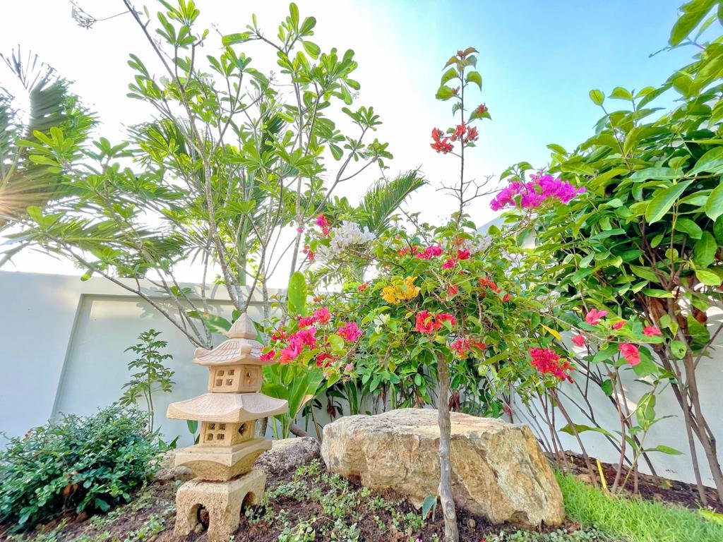 Property image - gallery 26