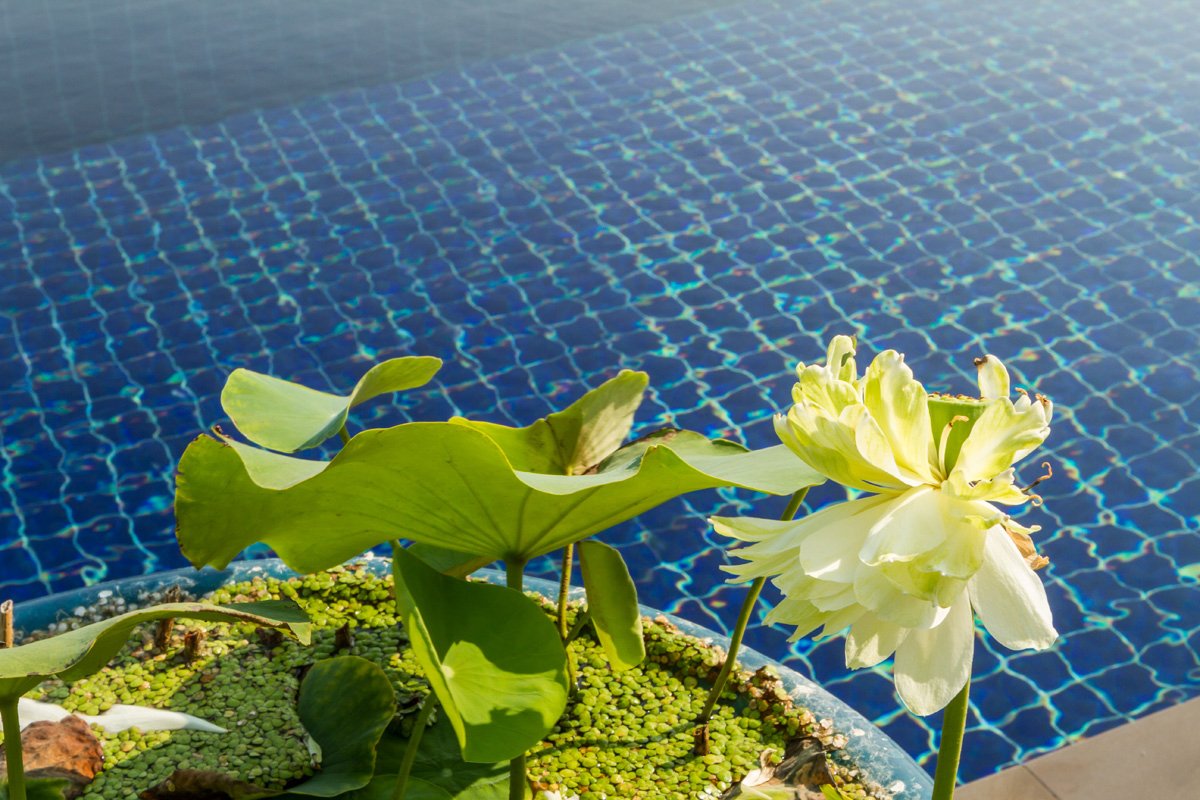 Property image - gallery 6