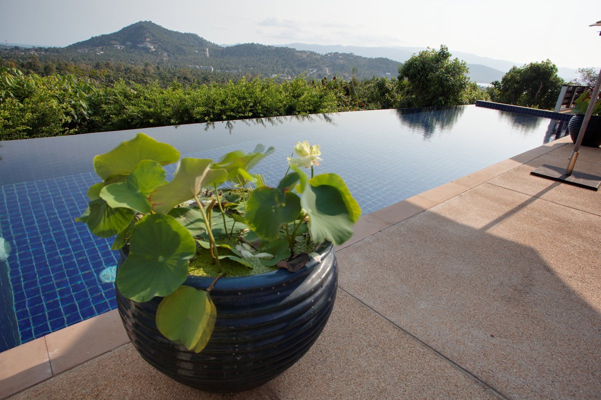 Property image - photo 5