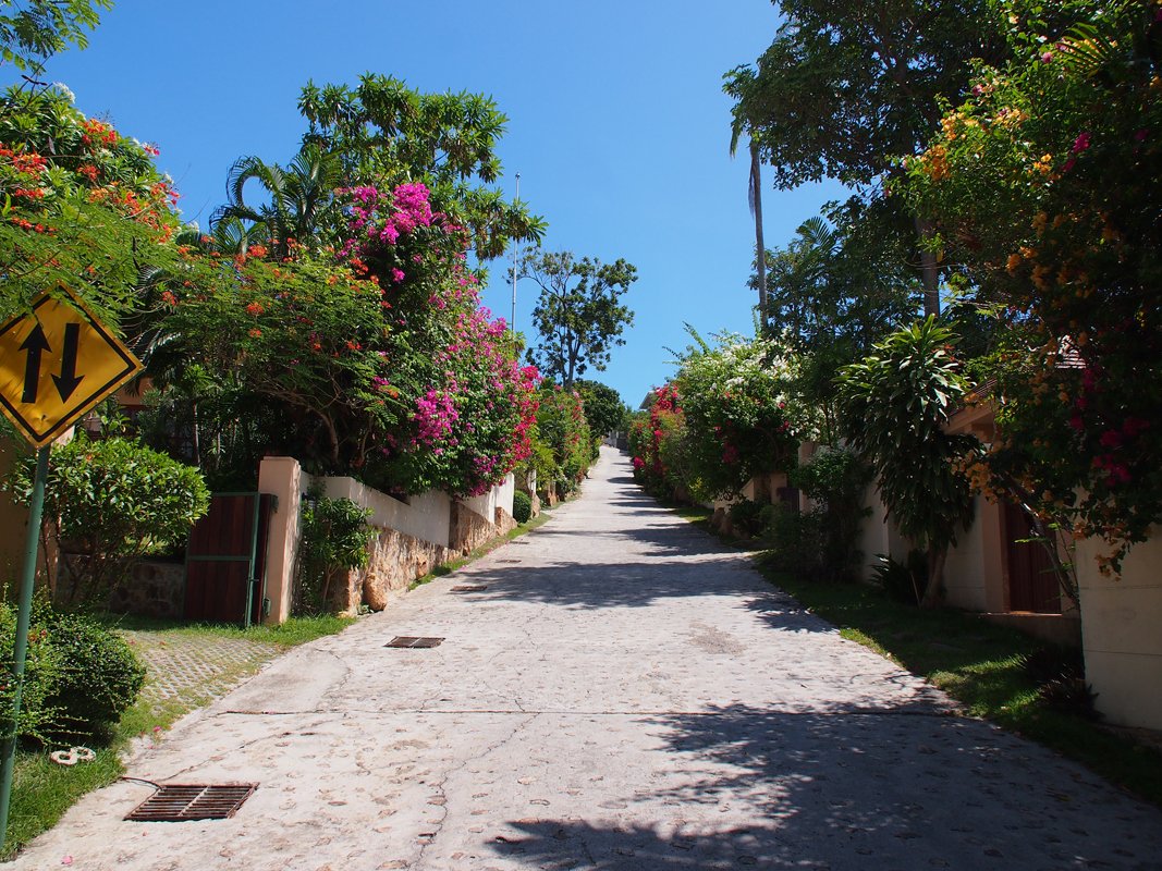 Property image - gallery 14