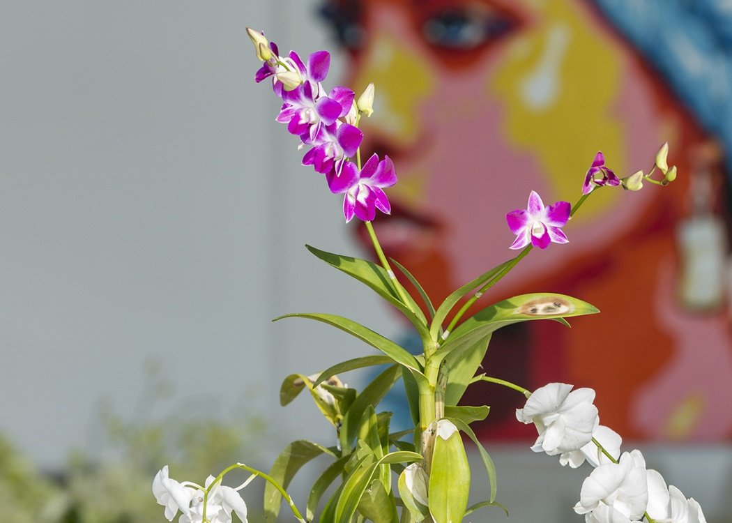 Property image - gallery 26