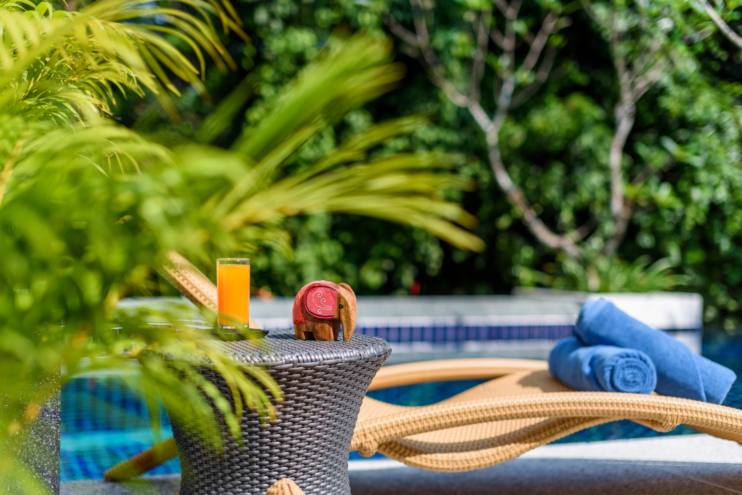 Property image - gallery 45