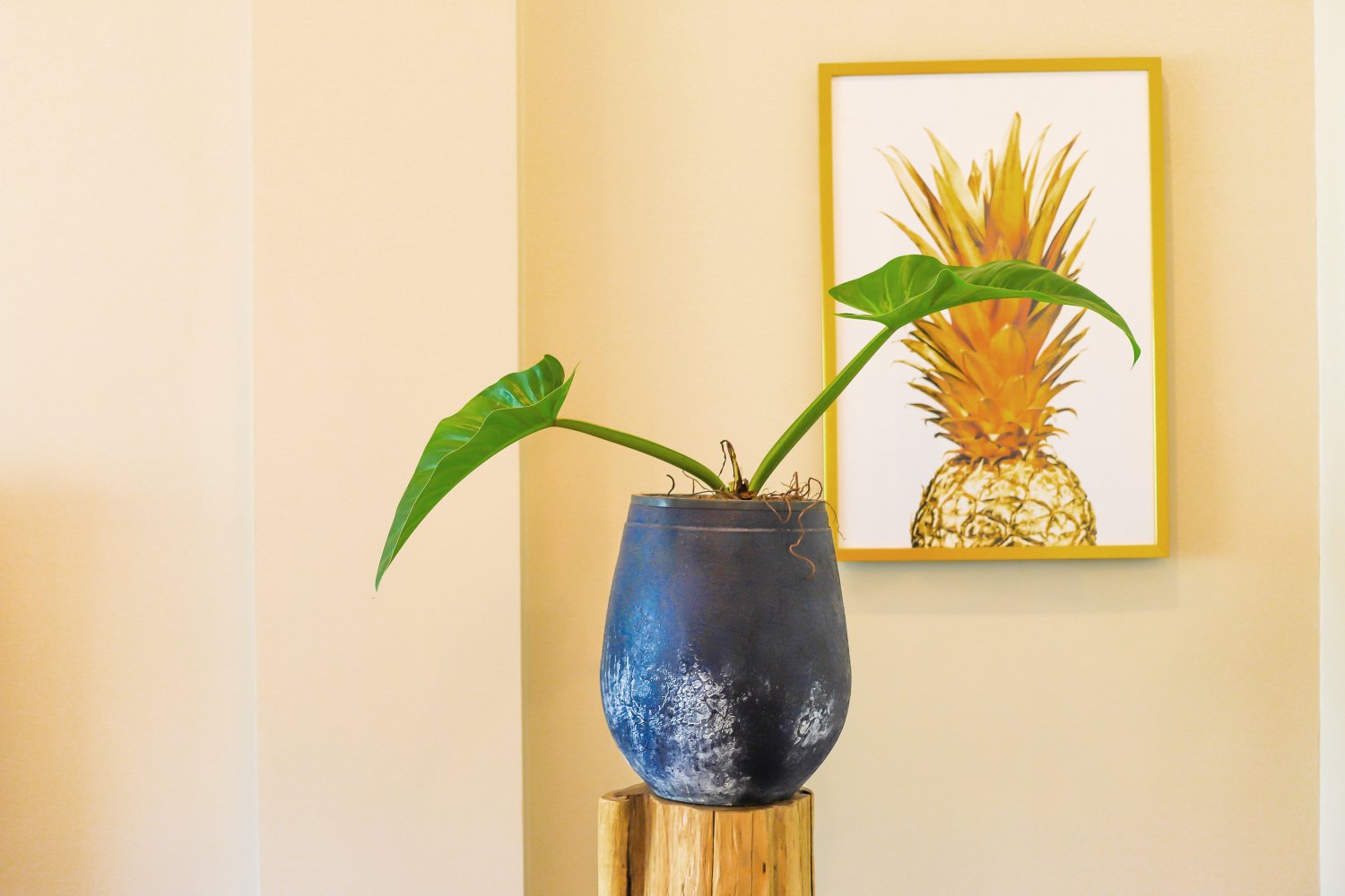 Property image - gallery 9