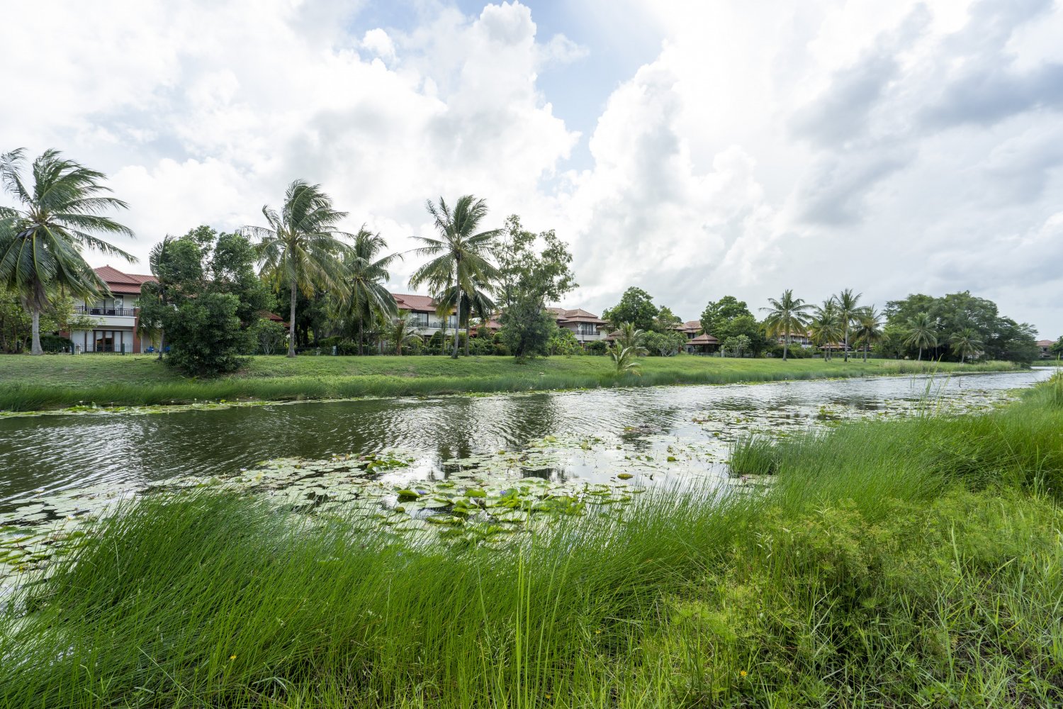 Property image - gallery 56