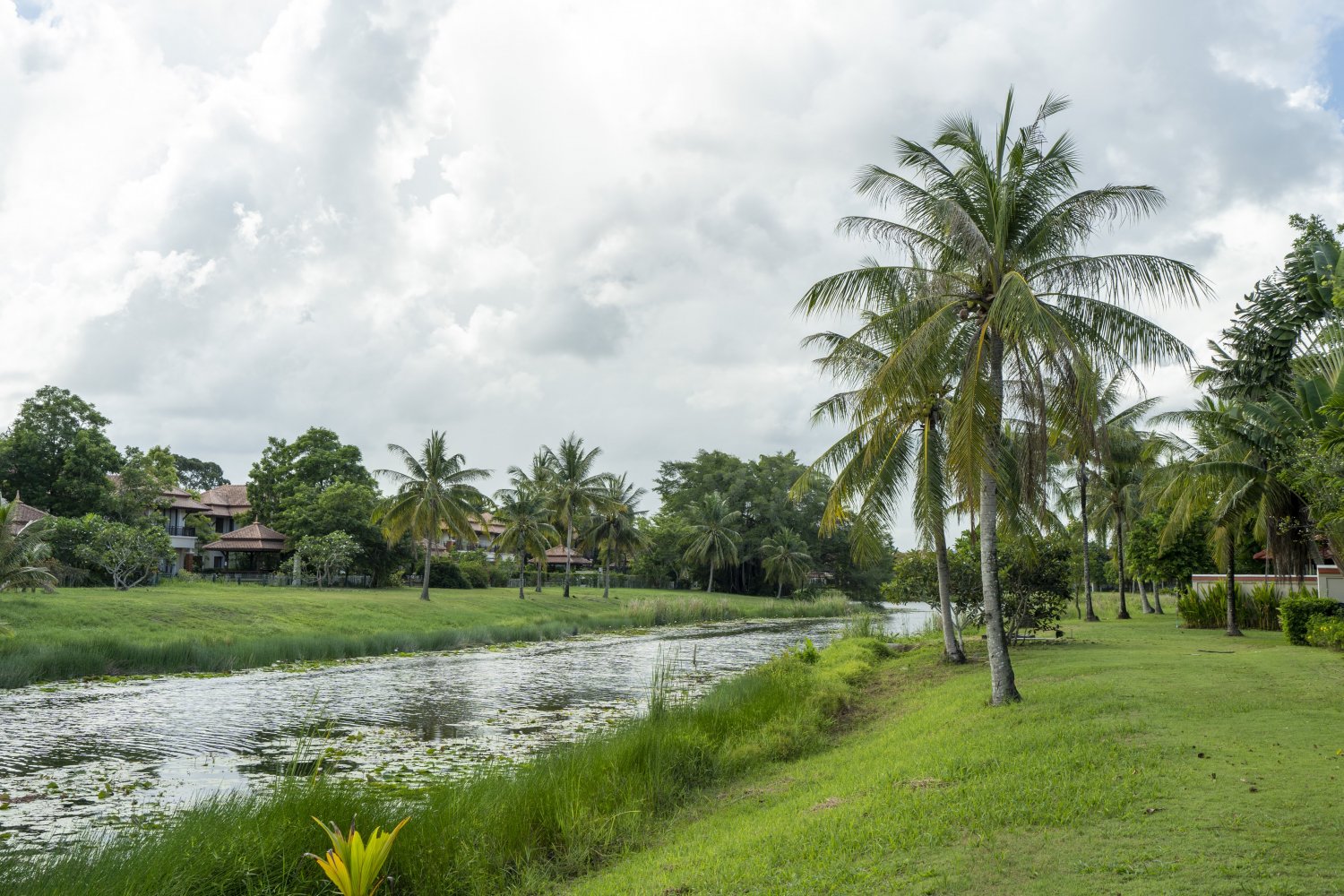 Property image - gallery 59