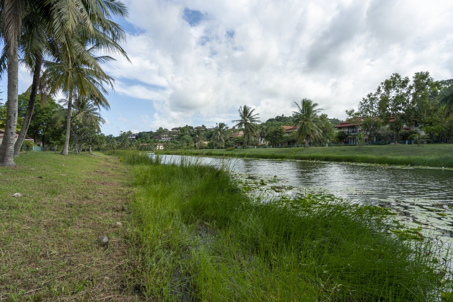 Property image - gallery 57