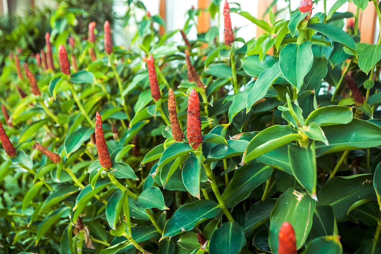 Property image - gallery 126