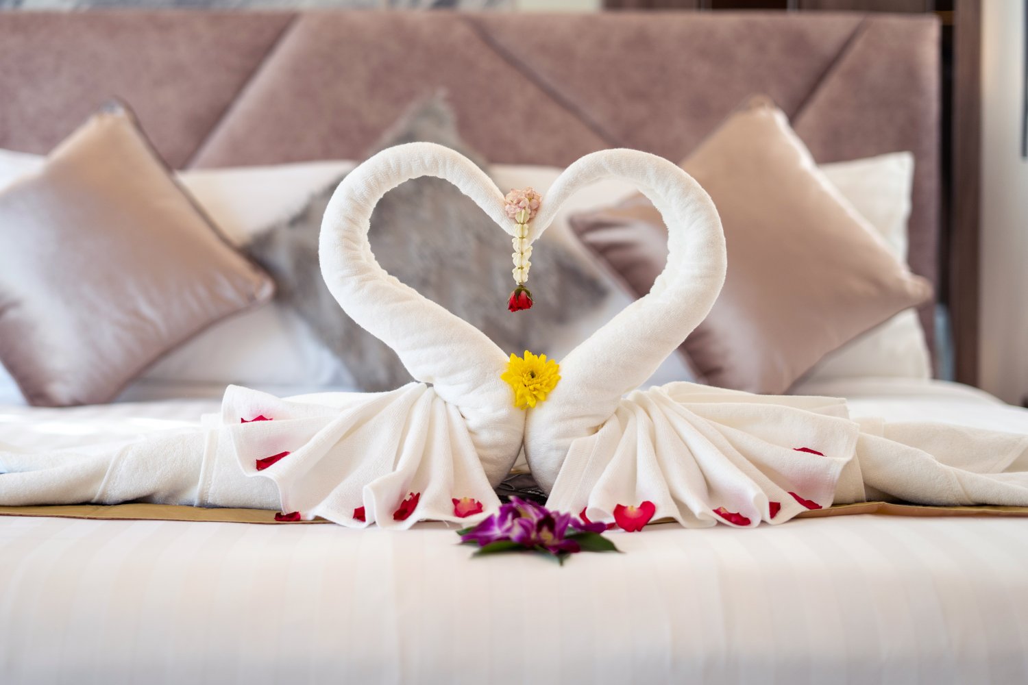 Property image - gallery 6