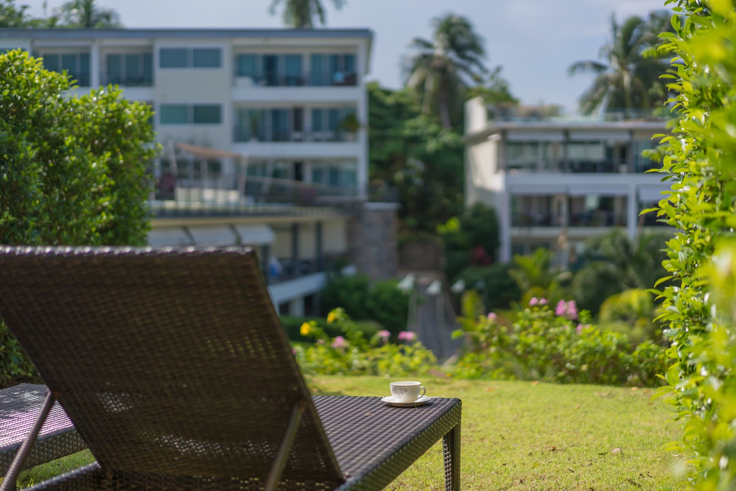 Property image - gallery 41