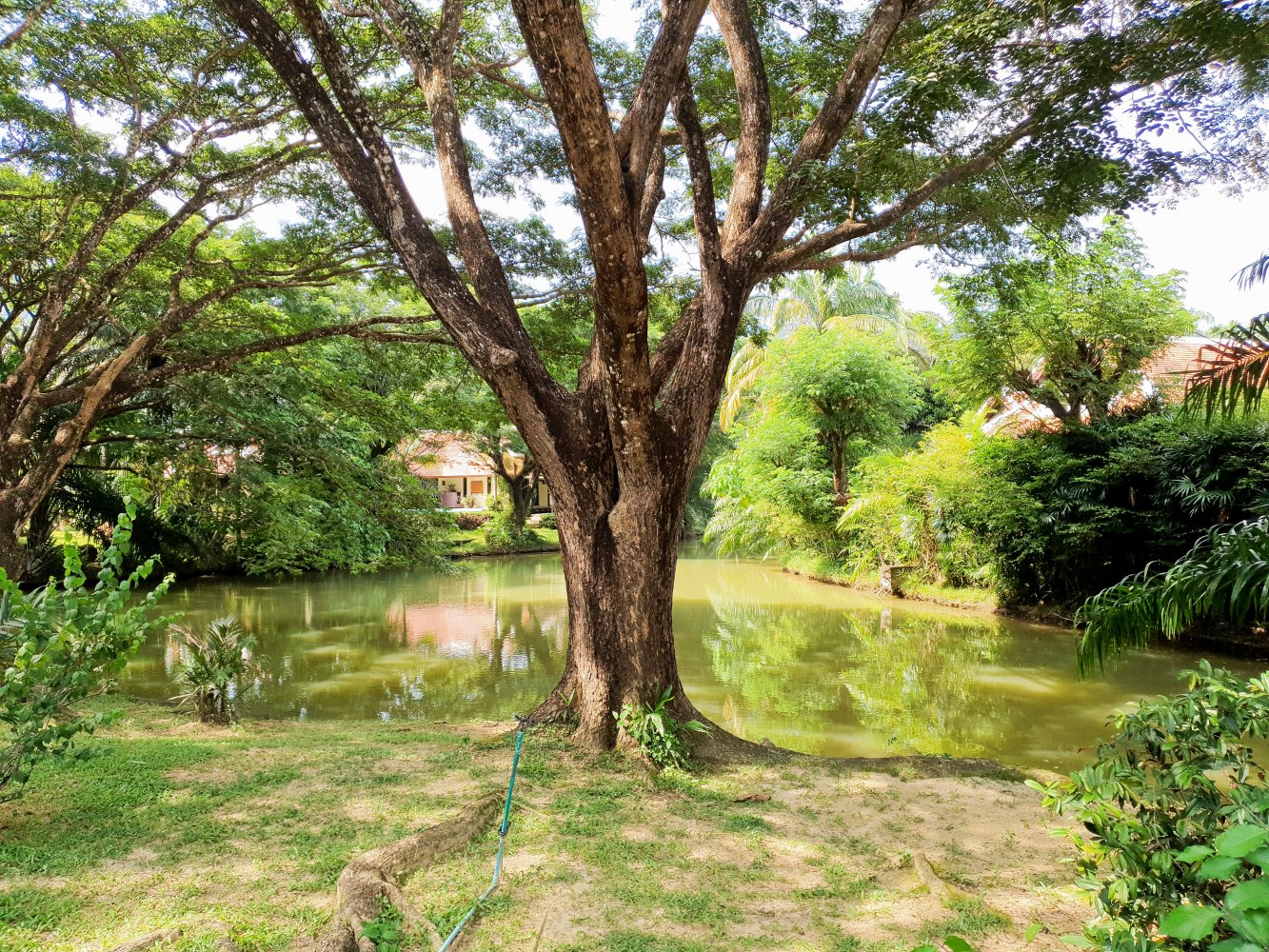 Property image - gallery 17