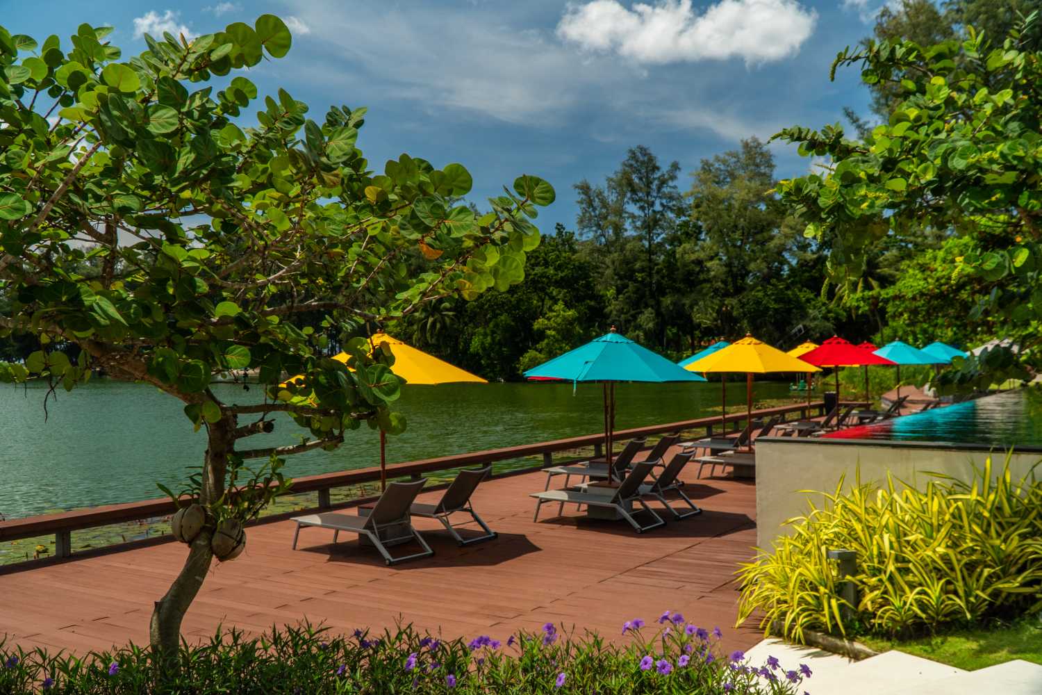 Property image - gallery 22