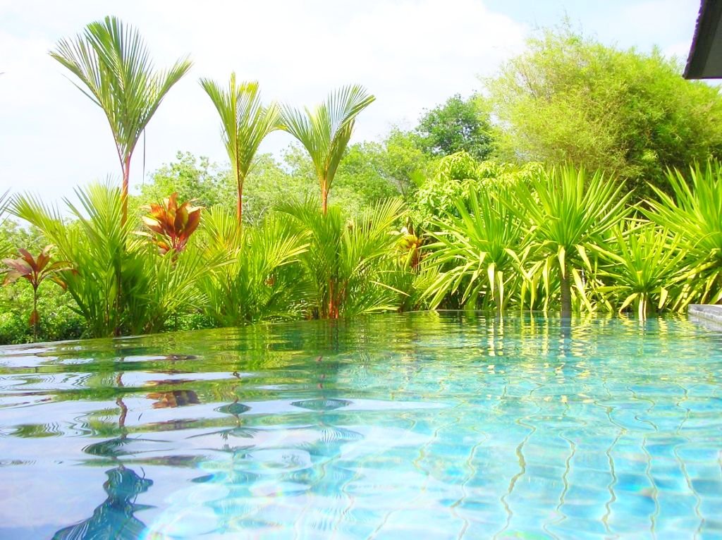 Property image - photo 5