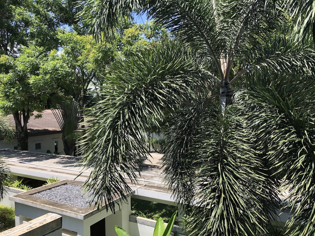 Property image - gallery 61