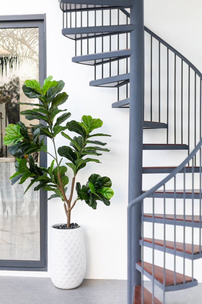 Property image - gallery 32