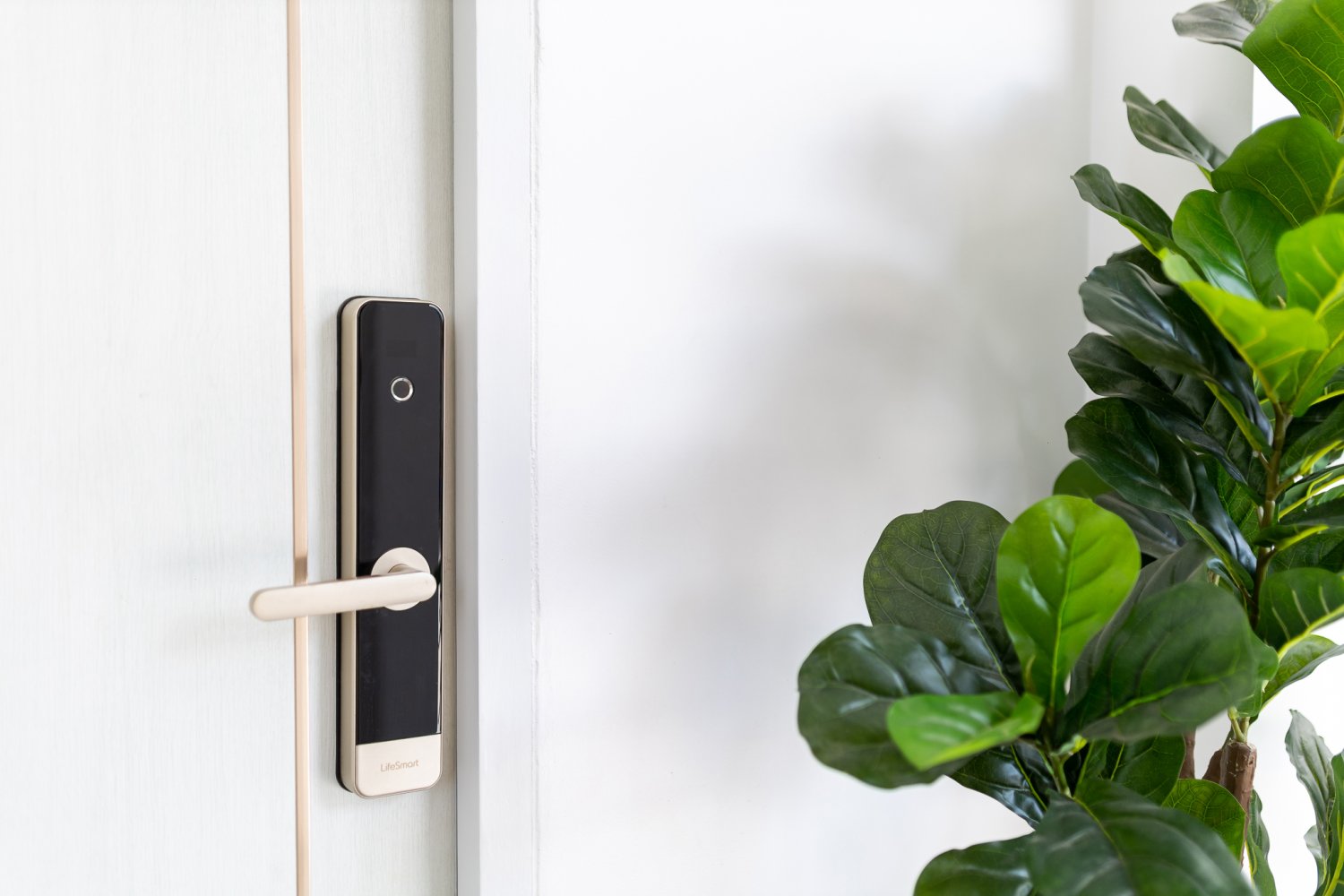 Property image - gallery 40