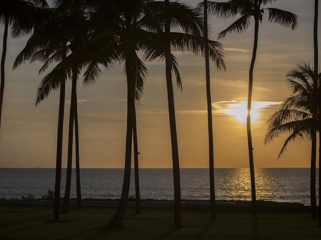 Property image - gallery 37