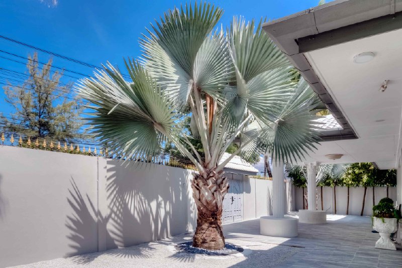 Property image - gallery 59