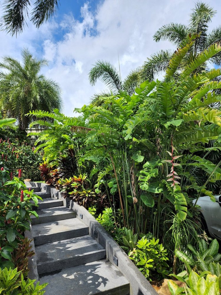 Property image - gallery 44