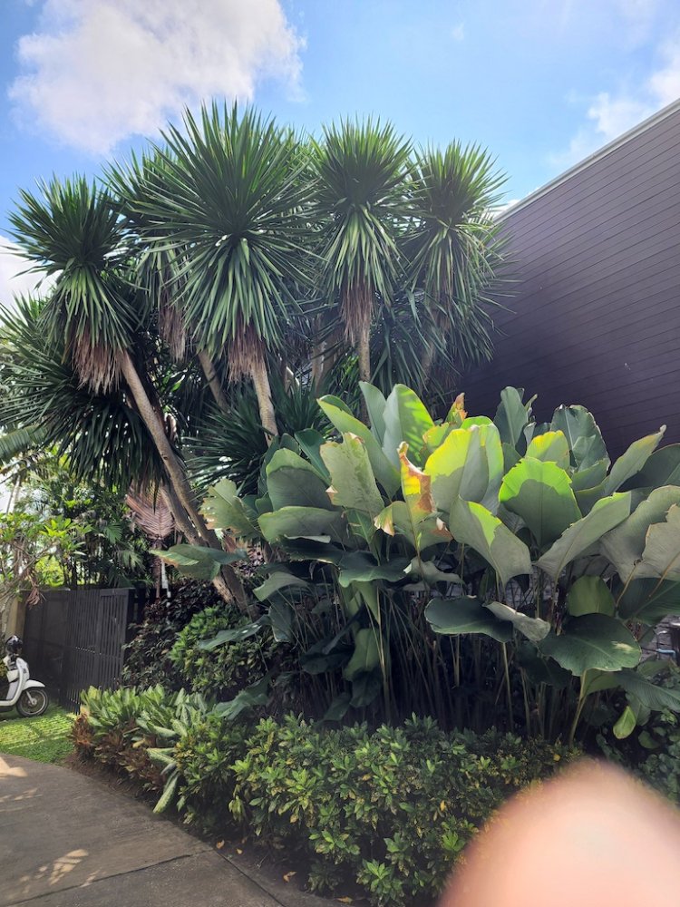 Property image - gallery 45