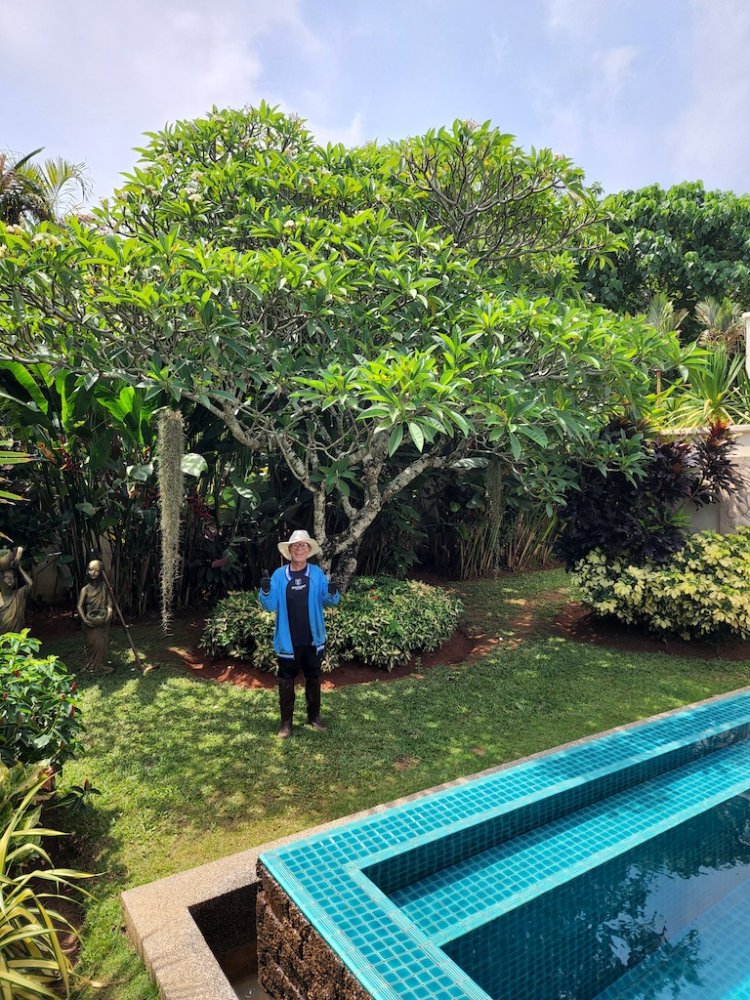 Property image - gallery 40