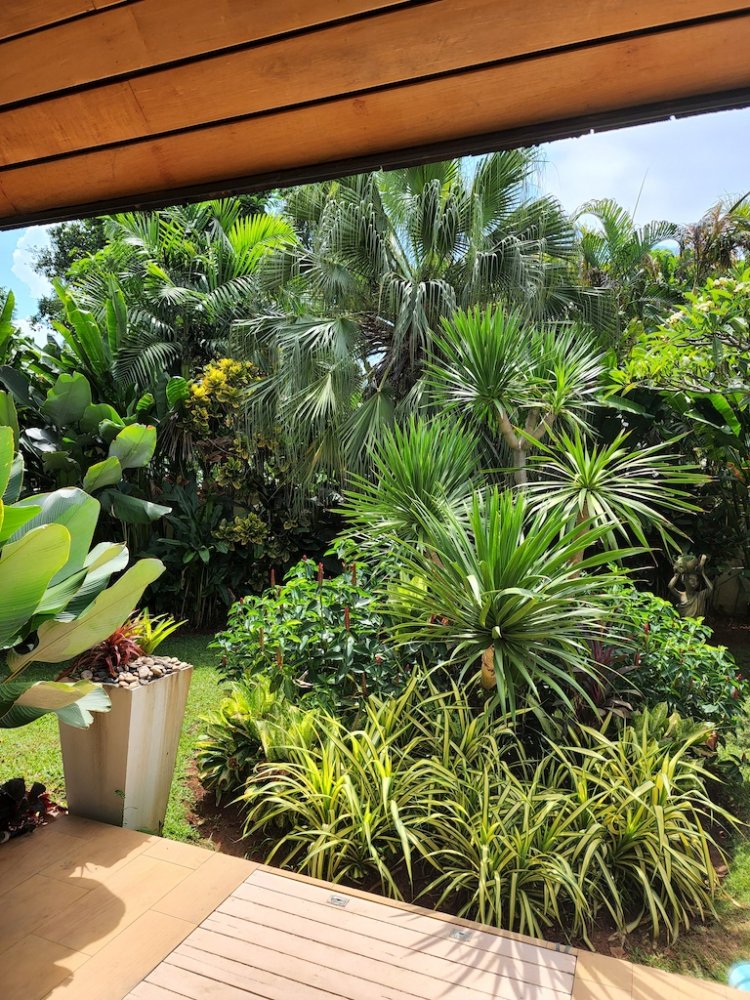 Property image - gallery 42