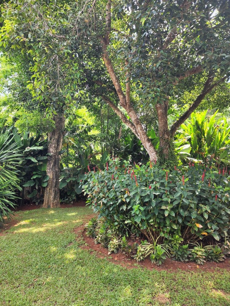 Property image - gallery 41