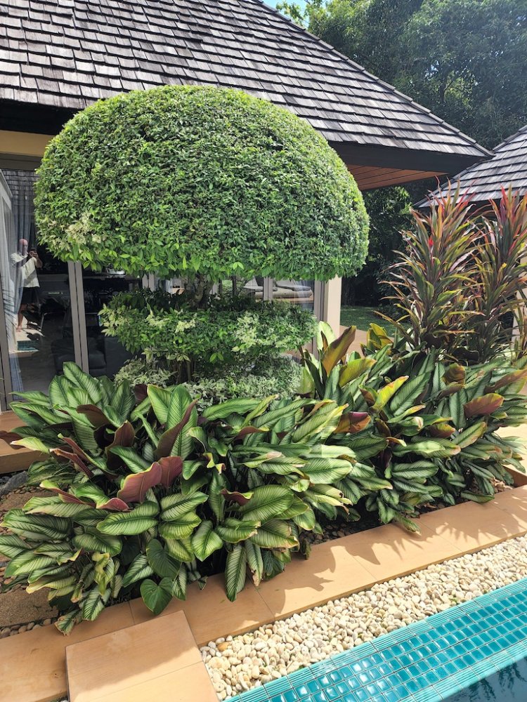 Property image - gallery 43