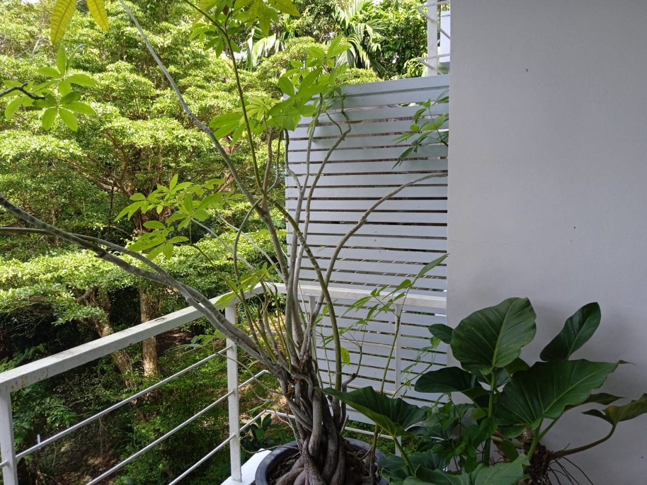 Property image - gallery 12