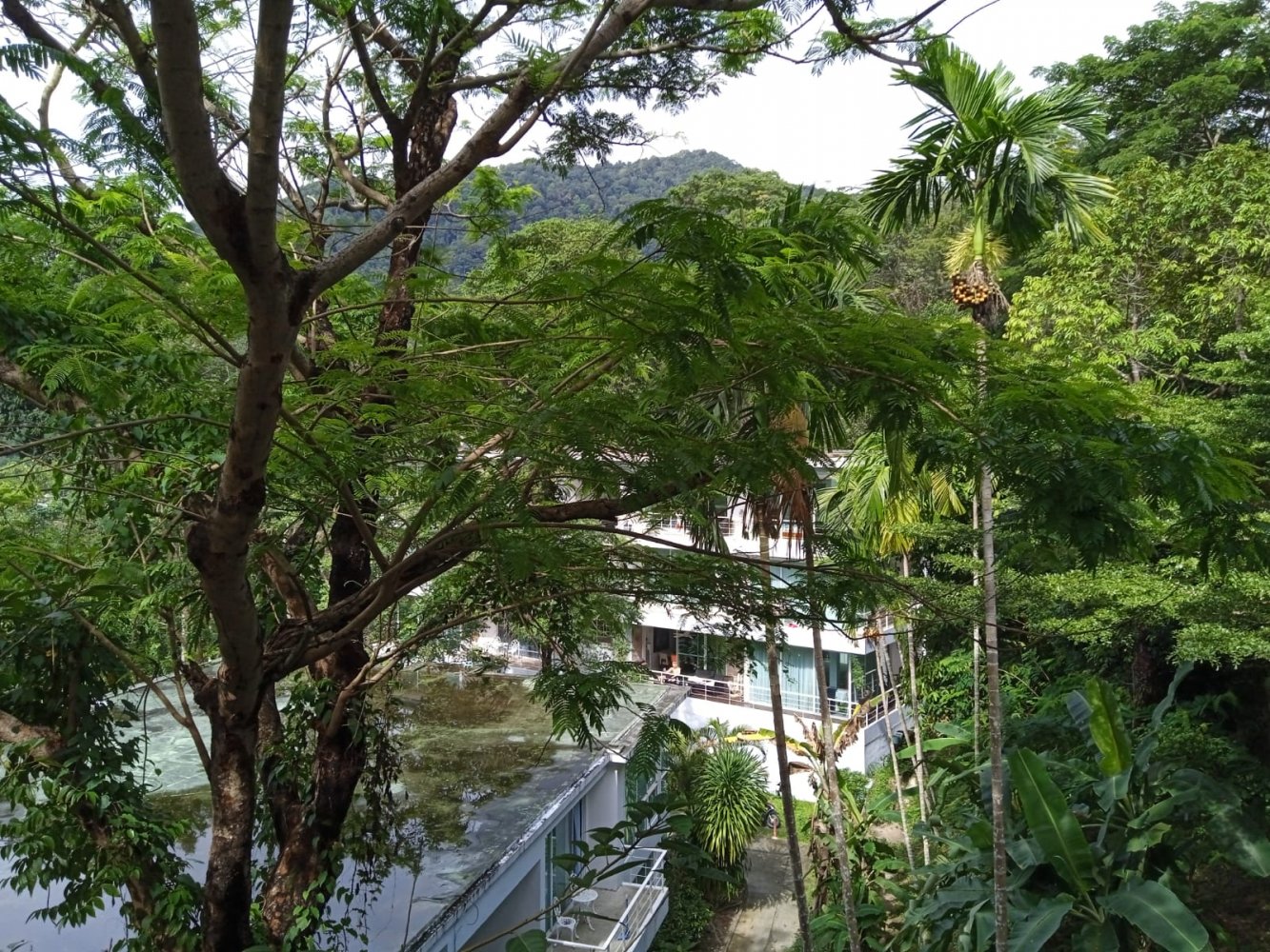 Property image - gallery 13