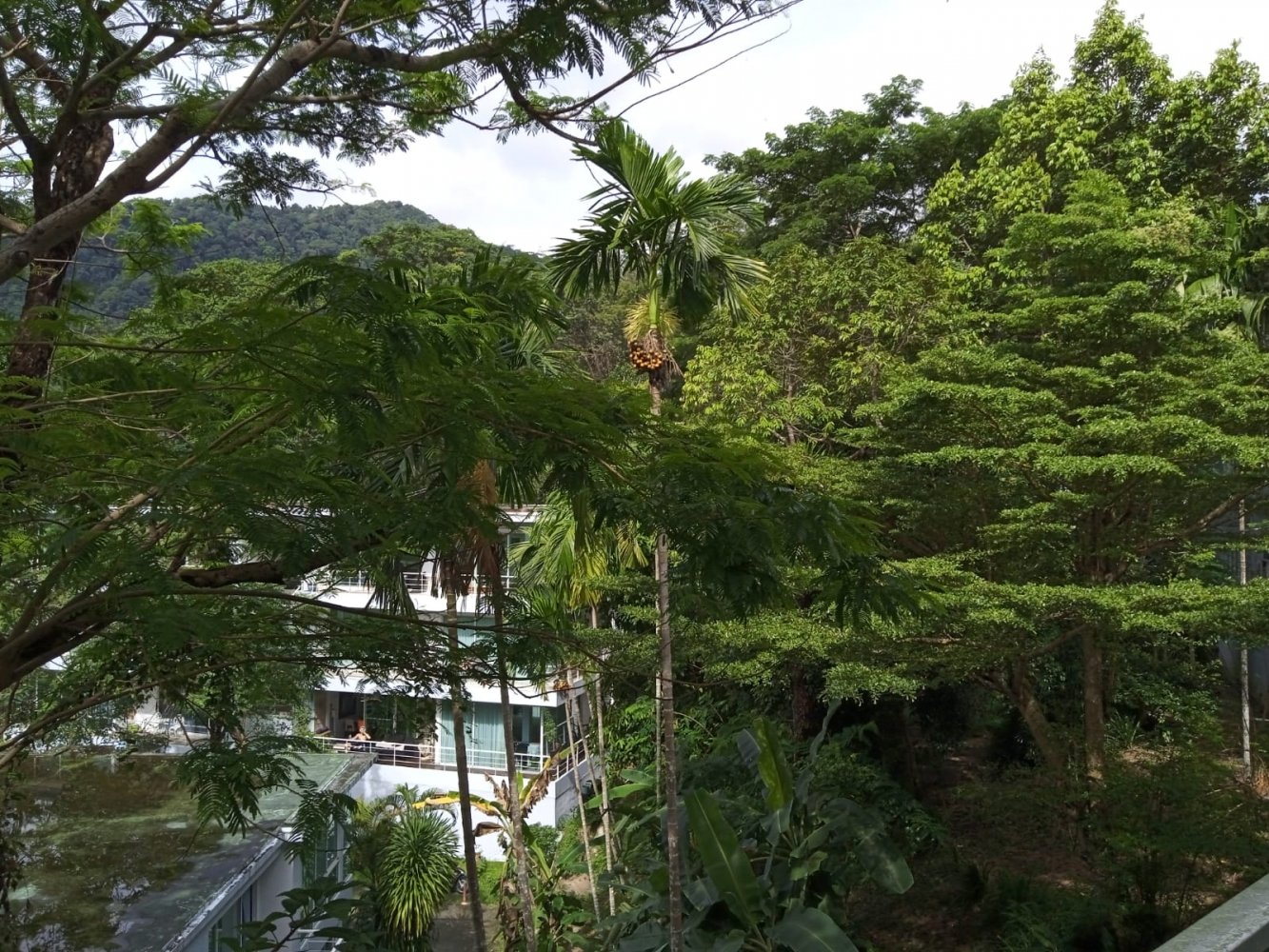 Property image - gallery 14